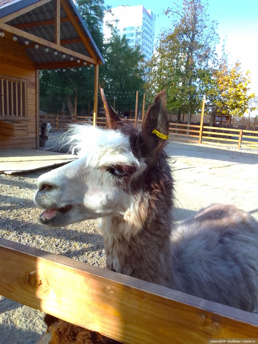 Туристический маршрут Жу (часть 4)