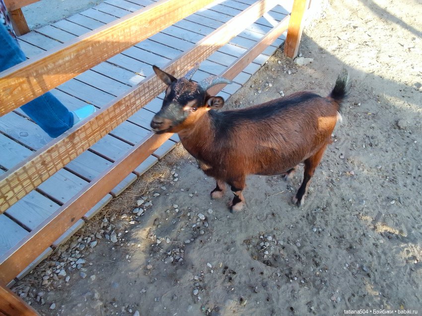 Туристический маршрут Жу (часть 4)