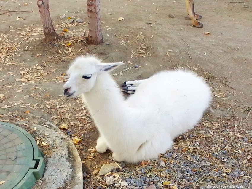 Туристический маршрут Жу (3 часть)