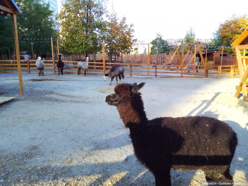 Туристический маршрут Жу (часть 4)