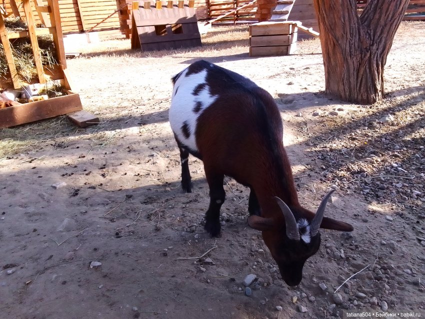 Туристический маршрут Жу (часть 4)