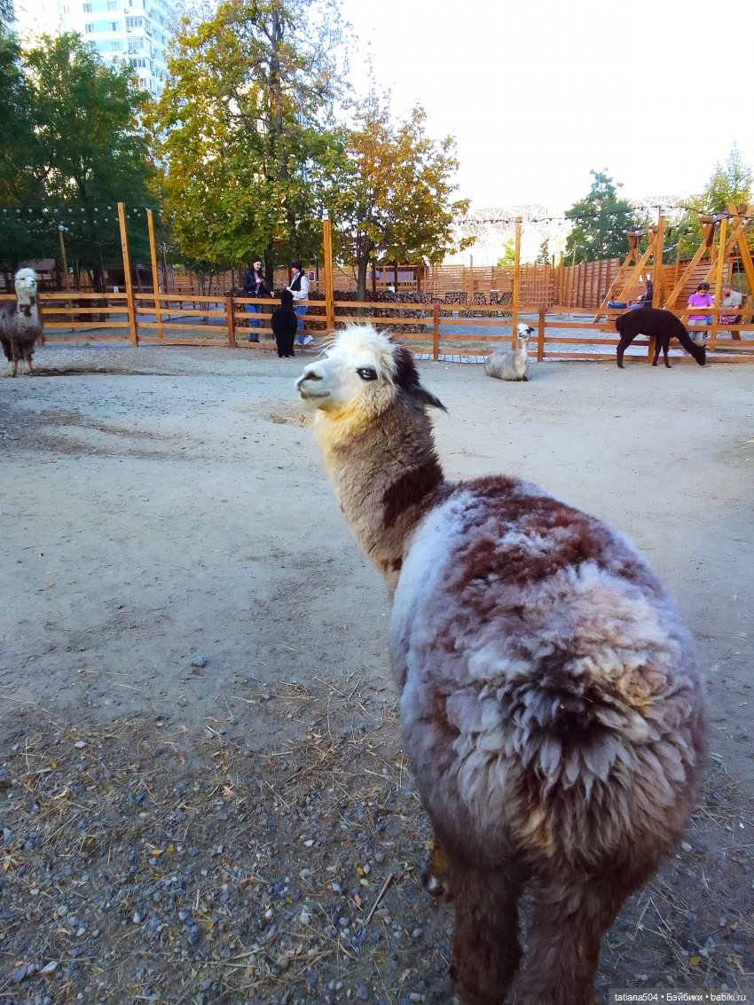 Туристический маршрут Жу (часть 4)