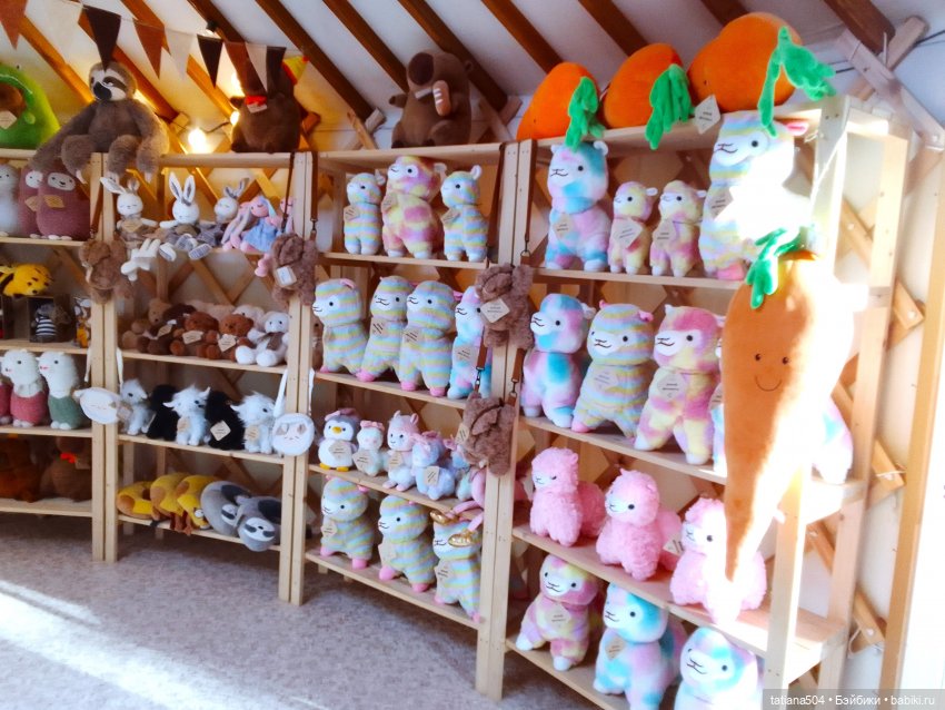 Туристический маршрут Жу (3 часть) (фото 5)