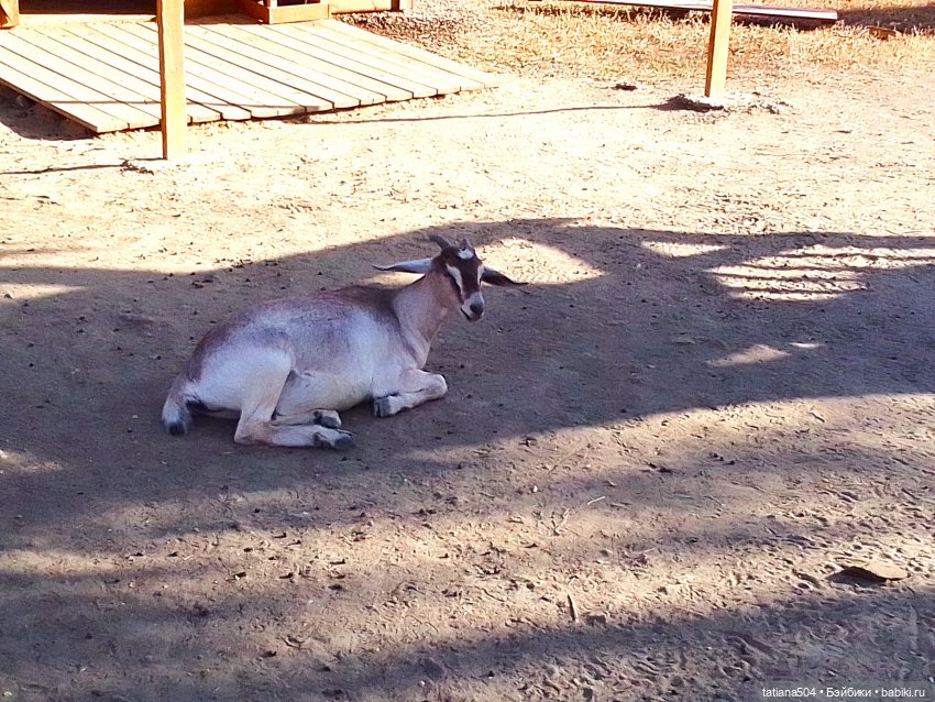 Туристический маршрут Жу (3 часть)