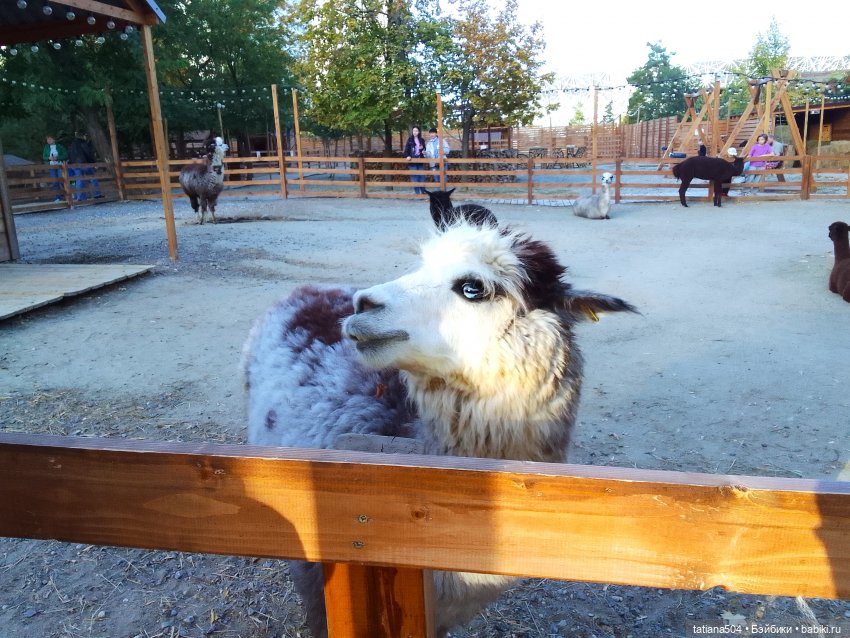 Туристический маршрут Жу (часть 4)