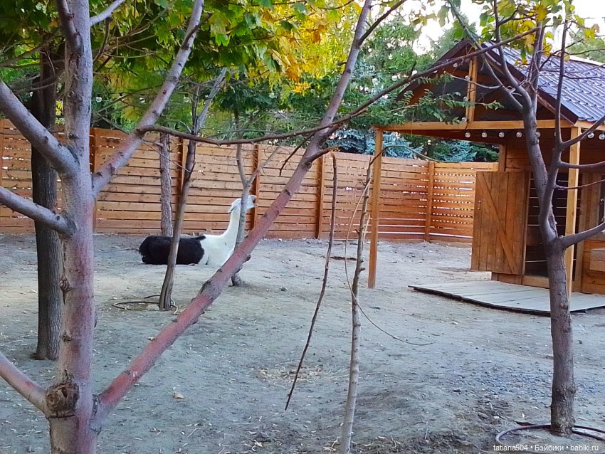 Туристический маршрут Жу (3 часть)