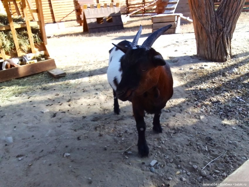 Туристический маршрут Жу (часть 4)