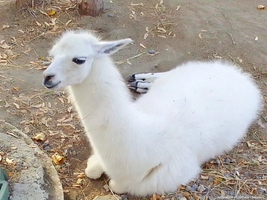 Туристический маршрут Жу (3 часть)