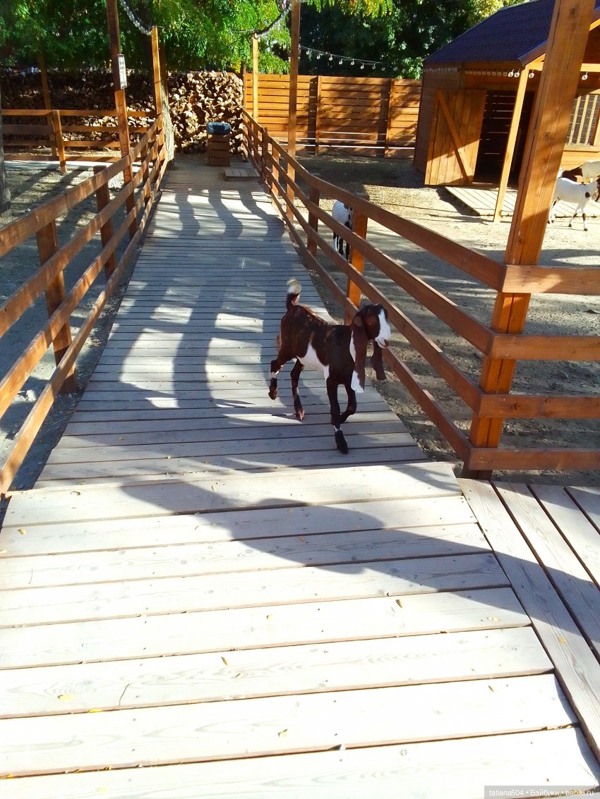 Туристический маршрут Жу (часть 4) (фото 7)