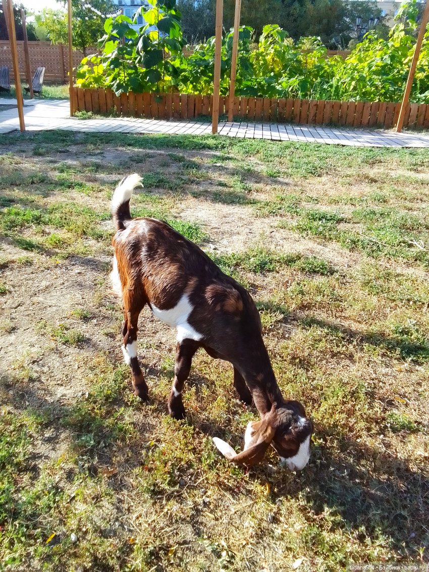 Туристический маршрут Жу (часть 4) (фото 8)