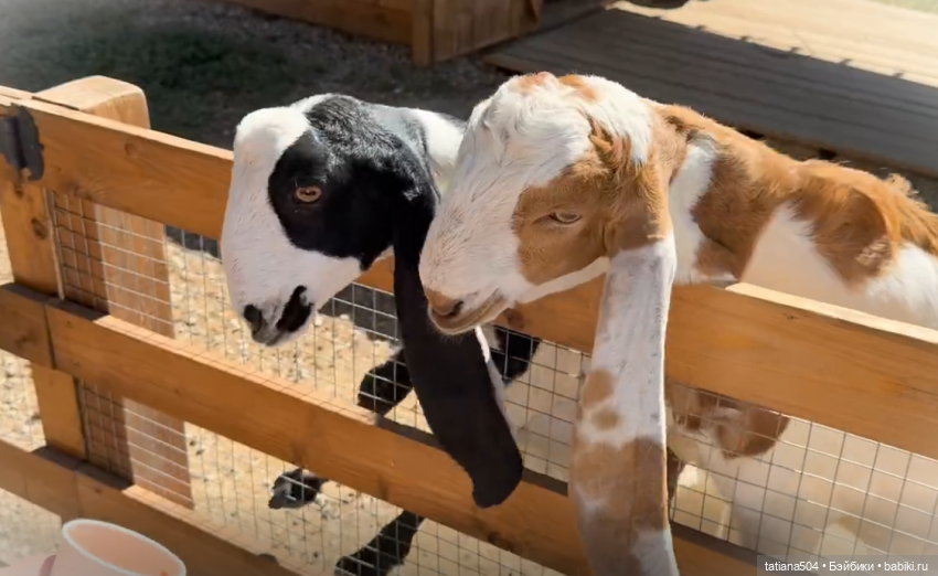 Туристический маршрут Жу (часть 4)