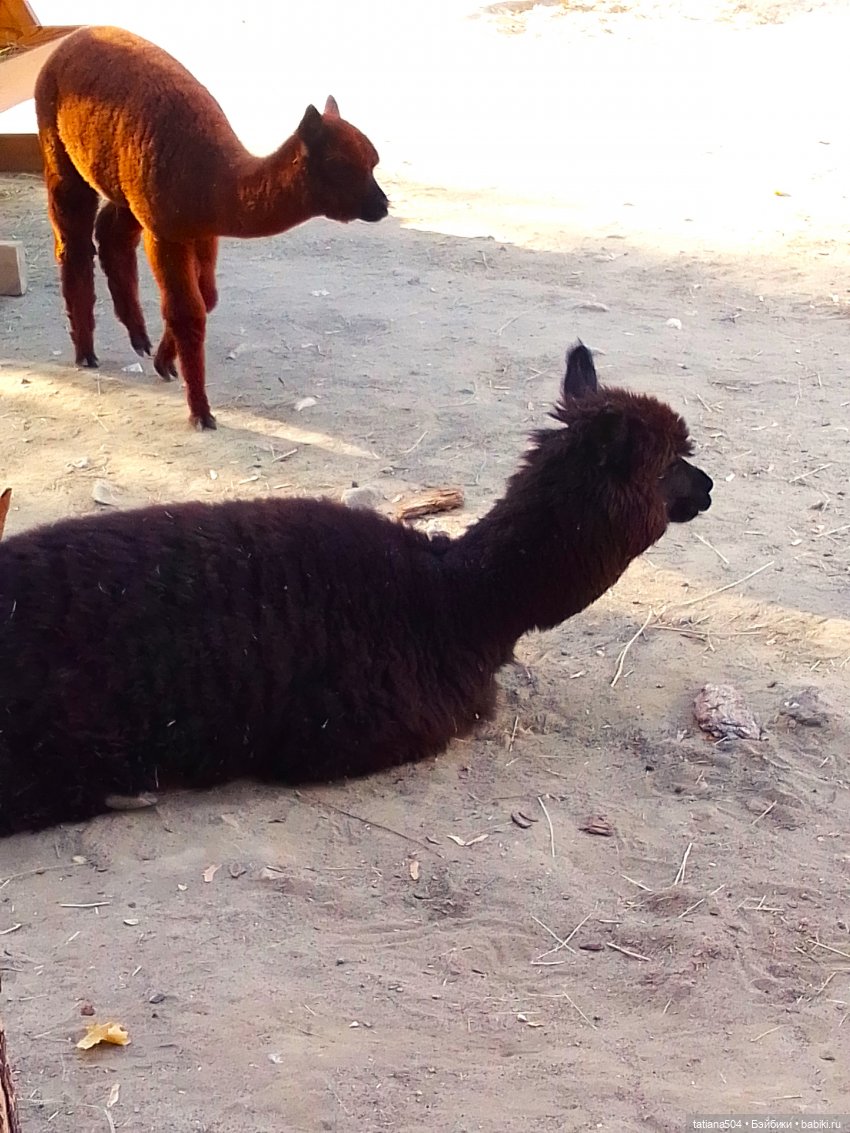 Туристический маршрут Жу (3 часть)