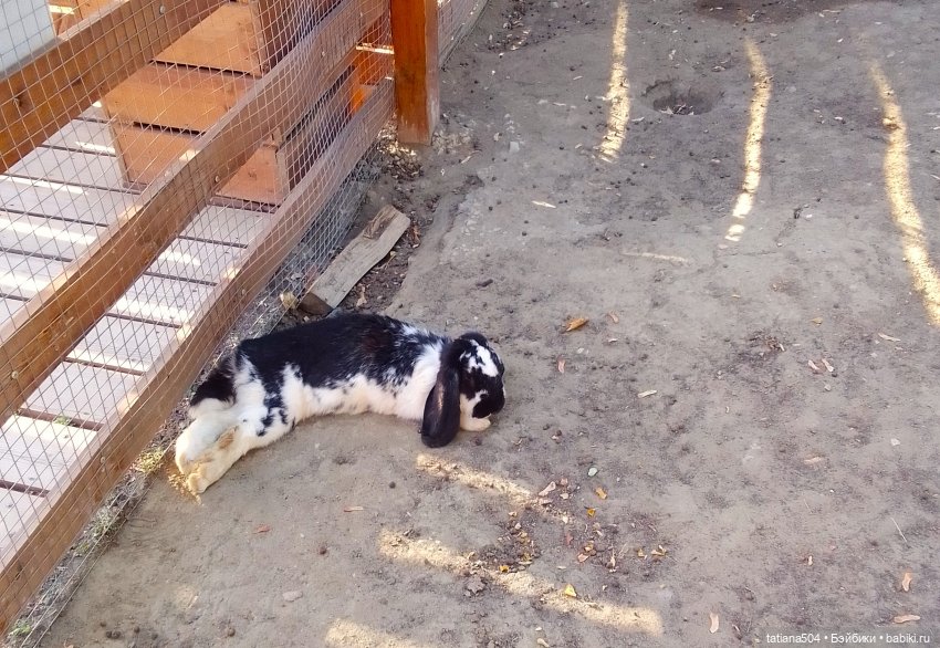 Туристический маршрут Жу (3 часть)