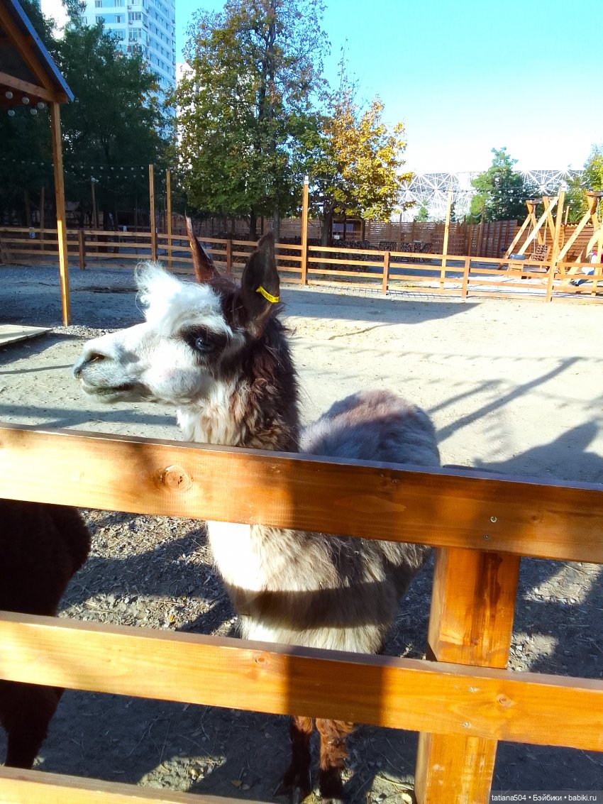 Туристический маршрут Жу (часть 4)