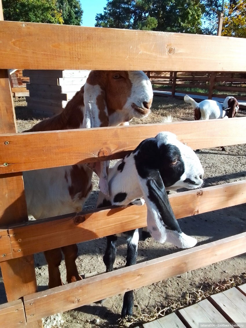 Туристический маршрут Жу (часть 4)