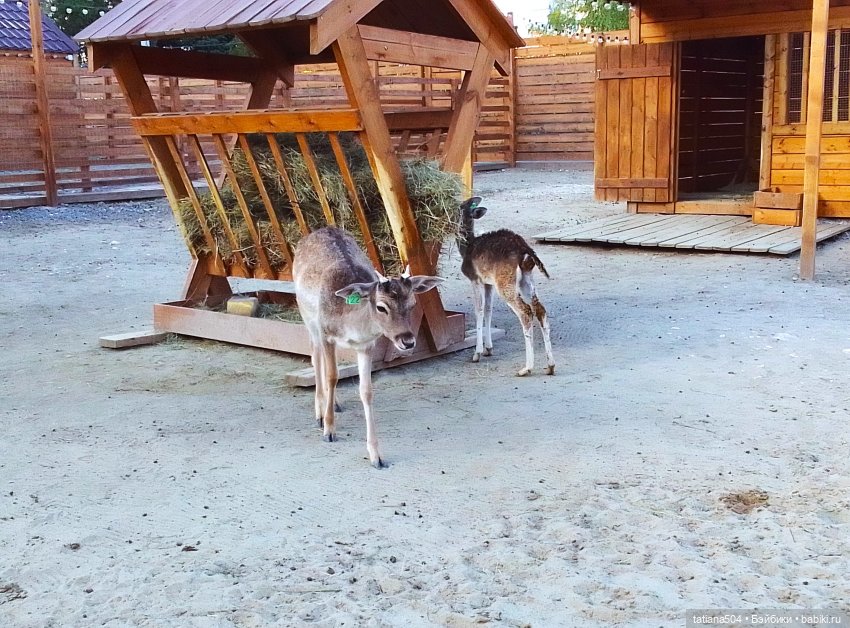 Туристический маршрут Жу (3 часть)