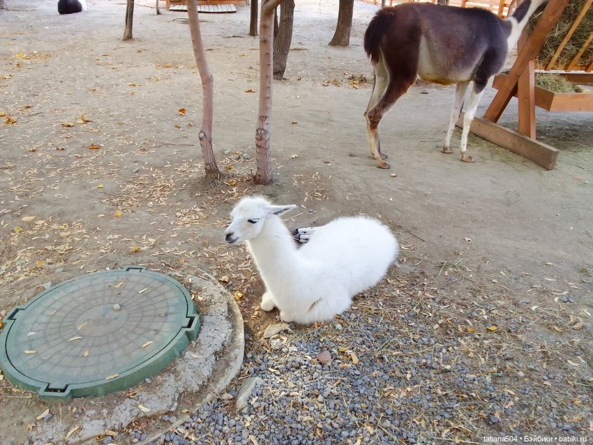 Туристический маршрут Жу (3 часть)