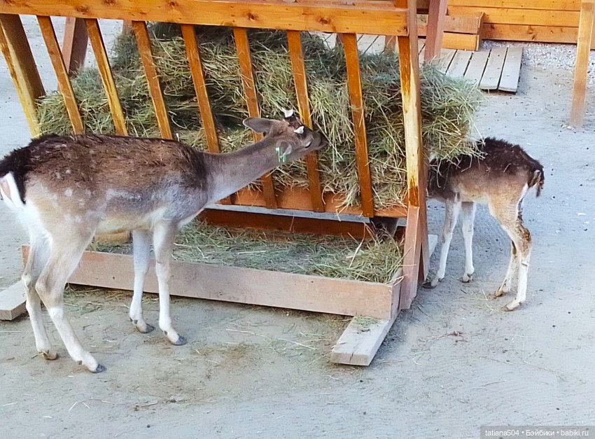 Туристический маршрут Жу (3 часть)