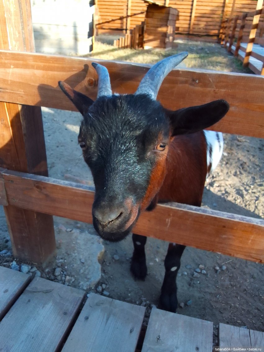 Туристический маршрут Жу (часть 4)