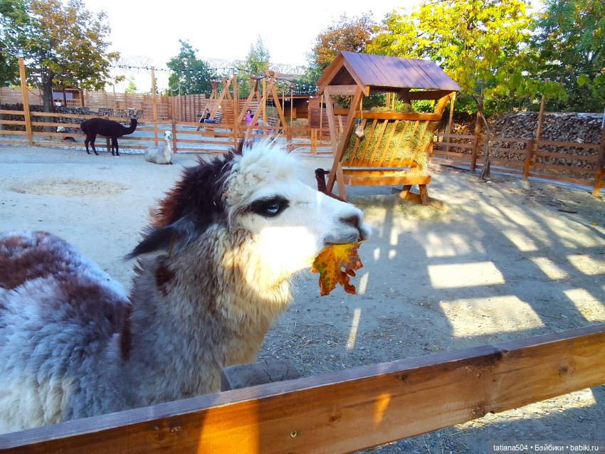 Туристический маршрут Жу (часть 4)