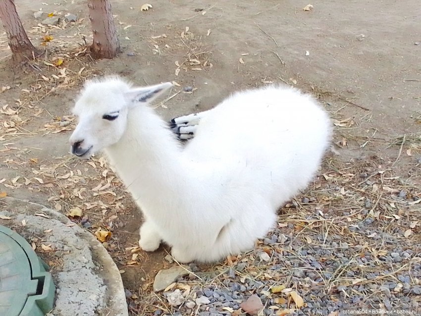 Туристический маршрут Жу (3 часть)