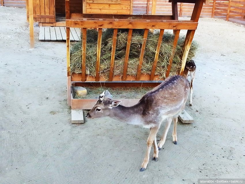 Туристический маршрут Жу (3 часть)