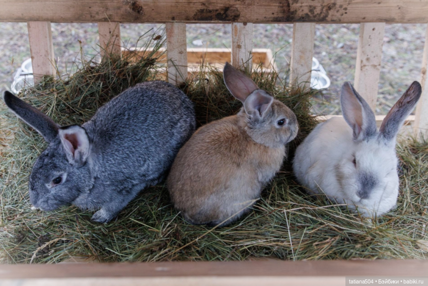 Туристический маршрут Жу (3 часть)