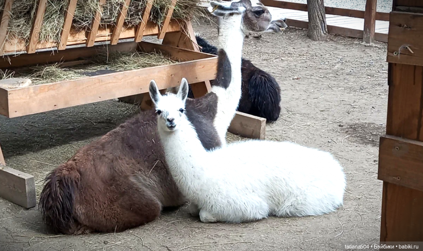 Туристический маршрут Жу (3 часть)