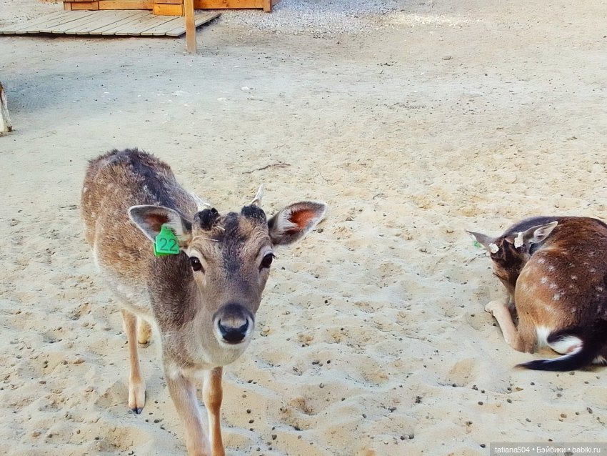 Туристический маршрут Жу (3 часть)