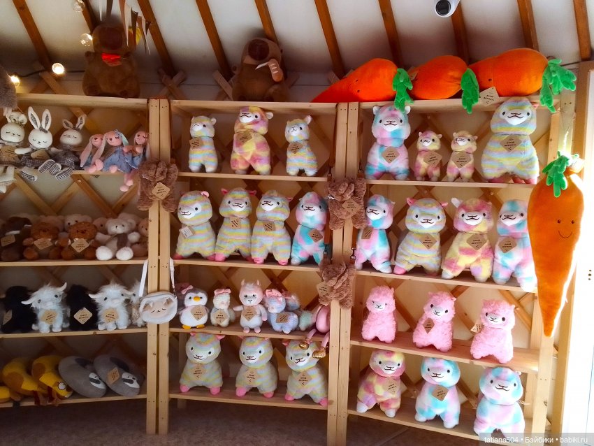 Туристический маршрут Жу (3 часть) (фото 8)