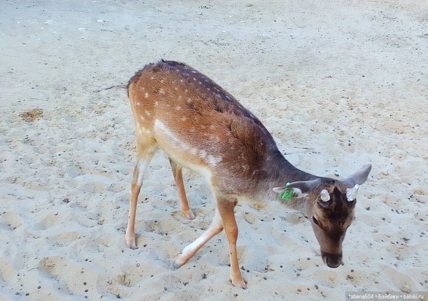 Туристический маршрут Жу (3 часть)