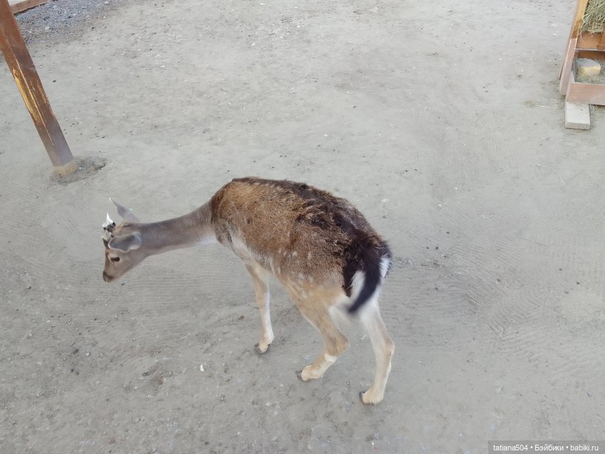 Туристический маршрут Жу (3 часть)