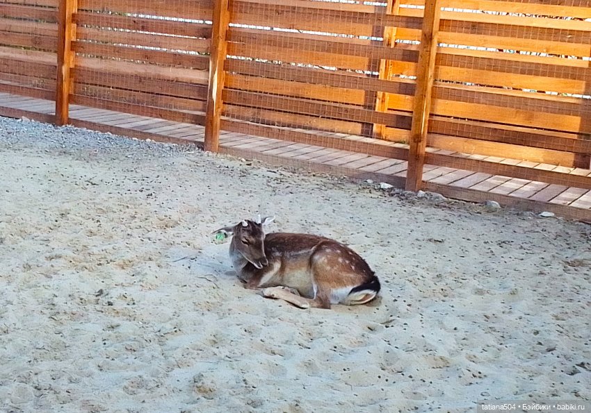 Туристический маршрут Жу (3 часть)