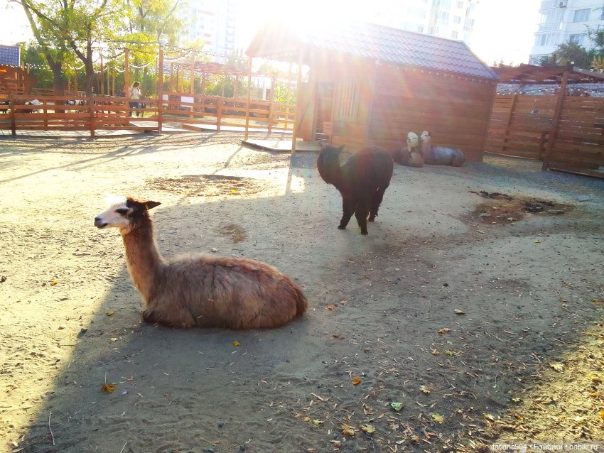 Туристический маршрут Жу (3 часть)