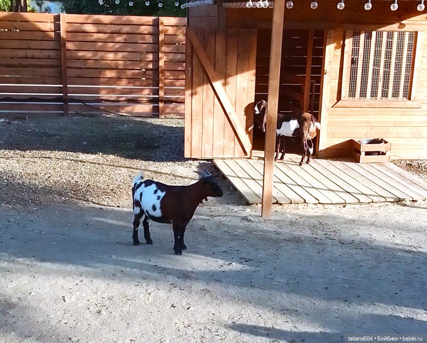 Туристический маршрут Жу (часть 4)