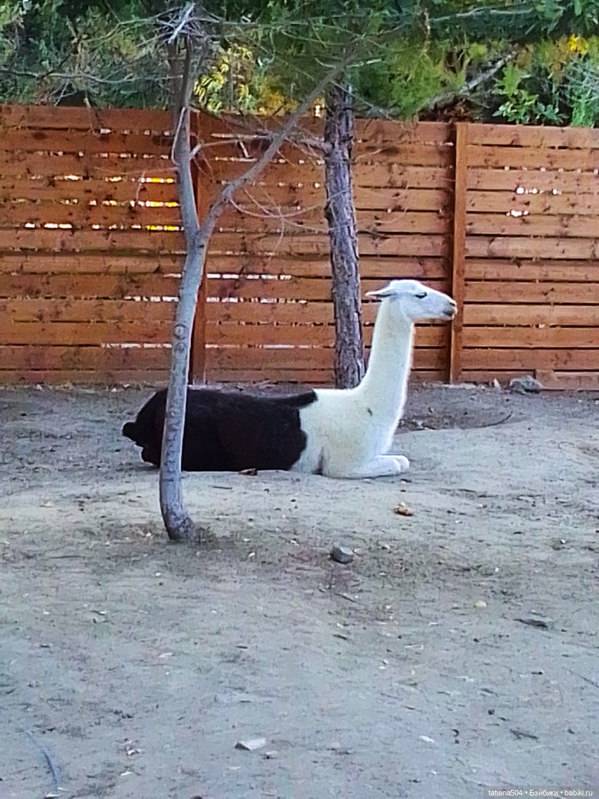 Туристический маршрут Жу (3 часть)