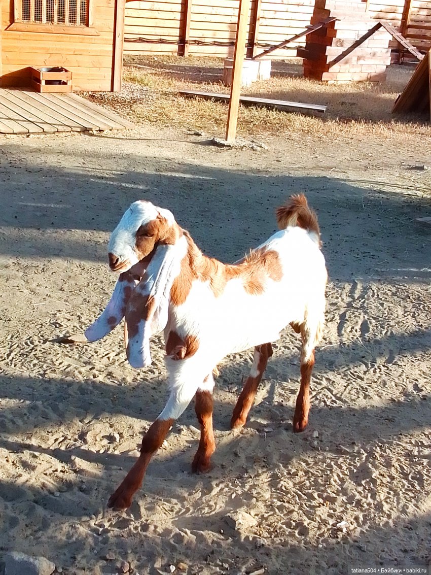 Туристический маршрут Жу (часть 4)