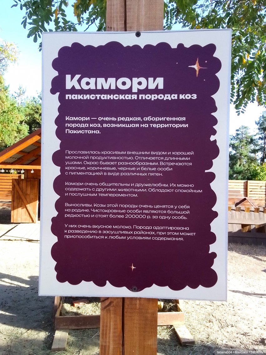 Туристический маршрут Жу (часть 4) (фото 10)