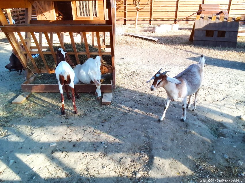 Туристический маршрут Жу (часть 4)