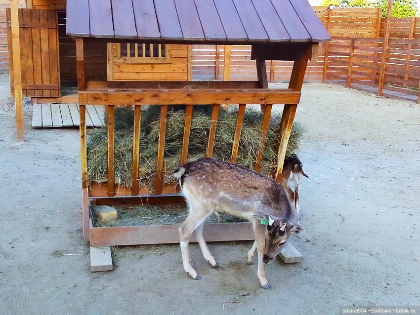 Туристический маршрут Жу (3 часть)