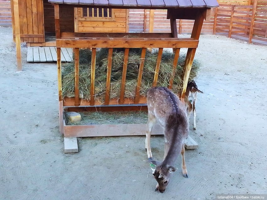 Туристический маршрут Жу (3 часть)