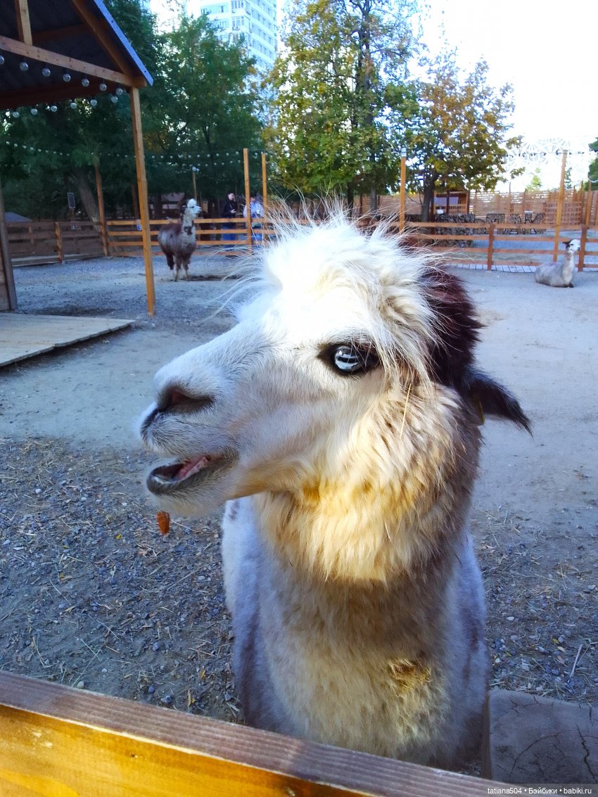 Туристический маршрут Жу (часть 4)