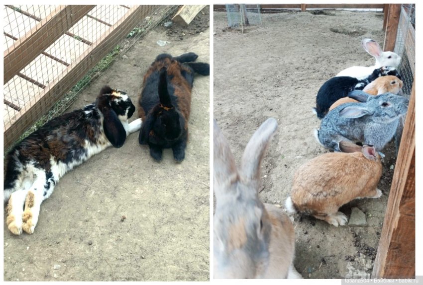 Туристический маршрут Жу (3 часть)