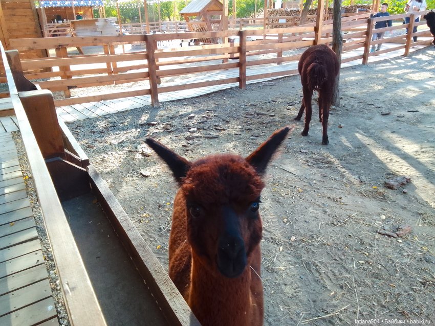 Туристический маршрут Жу (часть 4)