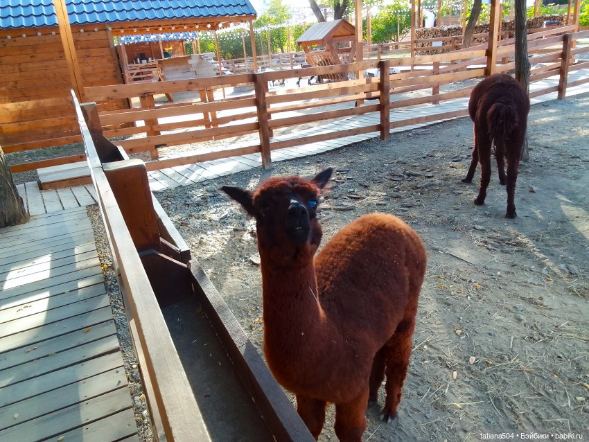 Туристический маршрут Жу (часть 4)