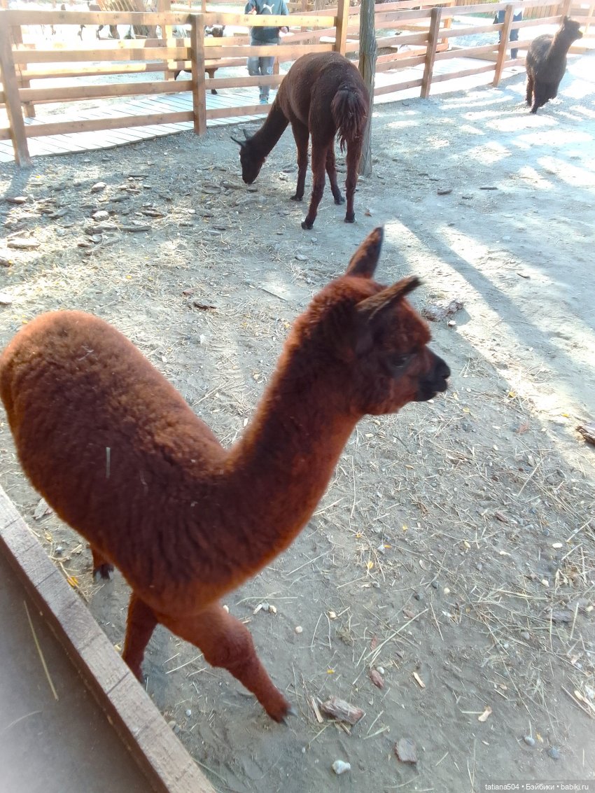 Туристический маршрут Жу (часть 4)