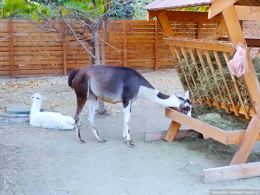 Туристический маршрут Жу (3 часть)