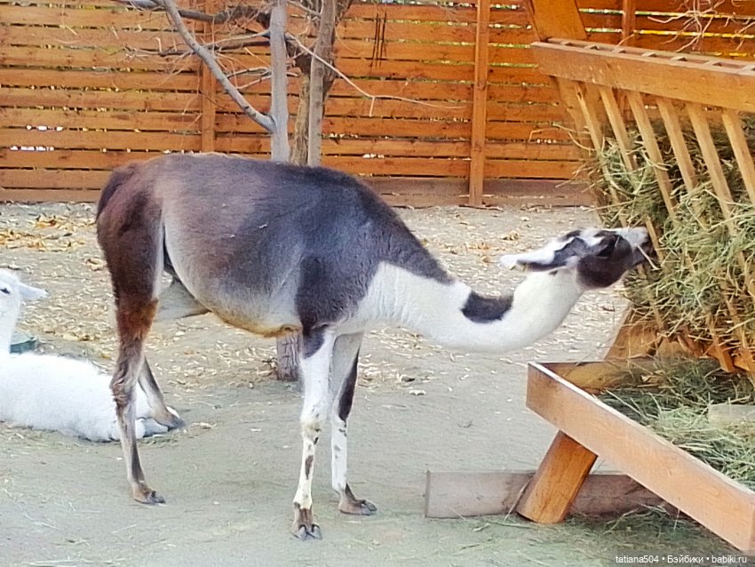 Туристический маршрут Жу (3 часть)