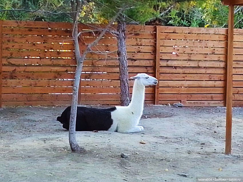 Туристический маршрут Жу (3 часть)