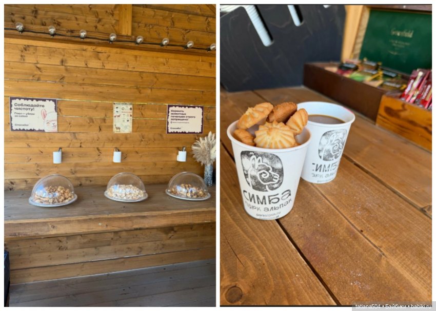 Туристический маршрут Жу (часть 4) (фото 6)